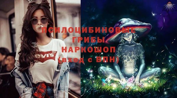 МДПВ Абаза