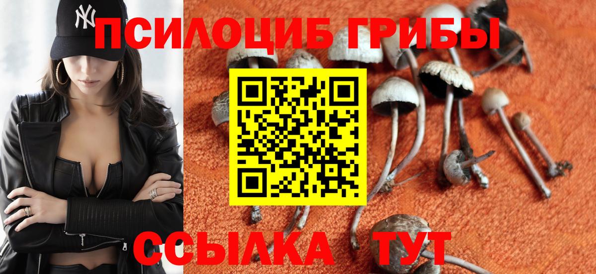 Фурманов  Псилоцибиновые грибы мухоморы  Вход с VPN 